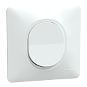 Ovalis - interrupteur va et vient - 10AX - Blanc - griffes montées - avec plaque