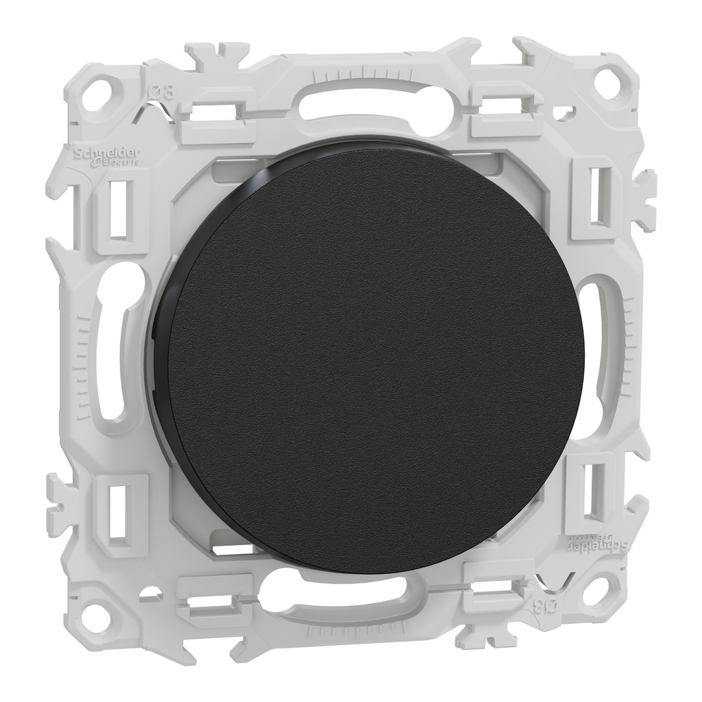 Odace - va-et-vient ou poussoir - 10AX - noir onyx