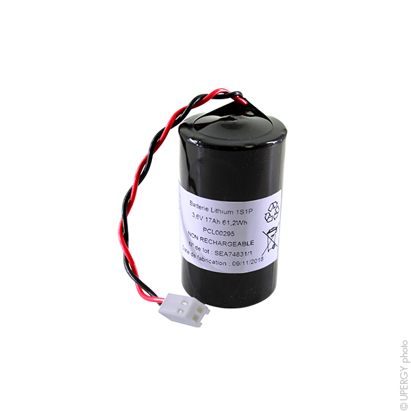 Pack(s) Pile lithium LS33600 D 3.6V 17Ah 6471