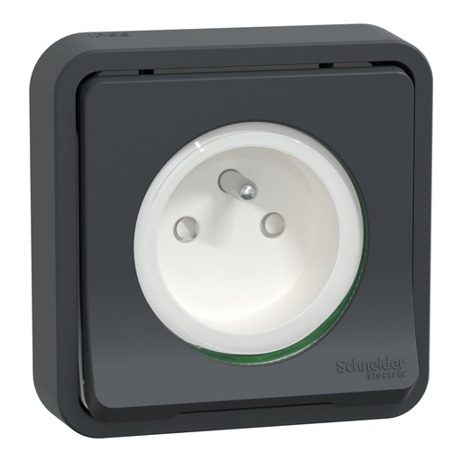 [SCHMUR35036] Mureva Styl - Prise courant 2P+T - compl encastré - IP55 IK08 - conn auto - gris