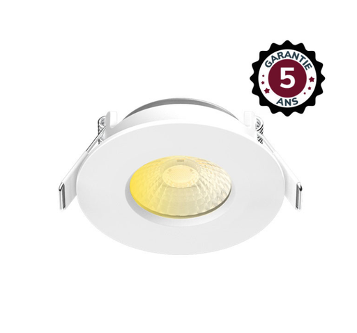 [MII100269] ECLAT CCT II SPOT FIXE 60° 6W 2700/3000/4000 IP65/20 DIM 5ANS