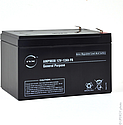 [ENIAMP9038] Unité(s) Batterie plomb AGM NX 12-12 General Purpose FR 12V 12Ah F6.35