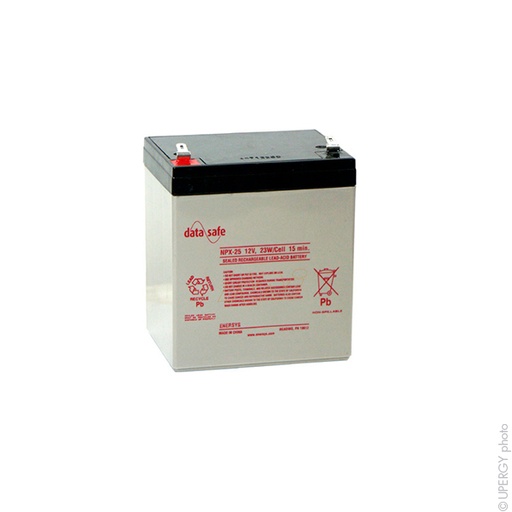 [ENIAMP3797] Batterie(s) Batterie onduleur (UPS) DataSafe NPX25-12 12V 5Ah F6.35