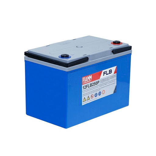 [ENIAMP8523] Batterie(s) Batterie onduleur (UPS) FIAMM 12FLB250P 12V 70Ah M8-F