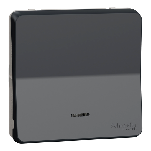 [SCHMUR35025] Mureva Styl - Va et vient lumineux LED - composable -IP55-IK08 -connex auto-gris