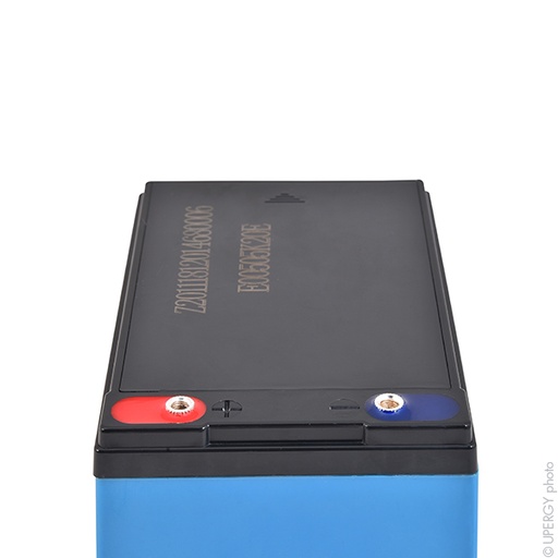 [ENIAMC9021] Batterie(s) Batterie lead crystal 6-CNFJ-14 12V 14Ah M5-F