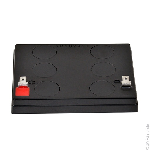 [ENIAMP9291] Unité(s) Batterie plomb AGM YUCEL Y4-12FR 12V 4Ah F4.8