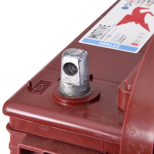 [ENIAMP1314] Batterie(s) Batterie traction Trojan 27TMH 12V 115Ah
