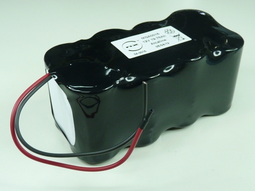 [ENIMGA0016] Pack(s) Batterie alcaline ST2/SG/ 12V 19.76Ah F150