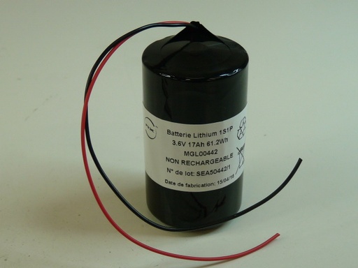 [ENIMGL00442] Pack(s) Batterie lithium 1 x LS33600 1S1SP 3.6V 17Ah F150