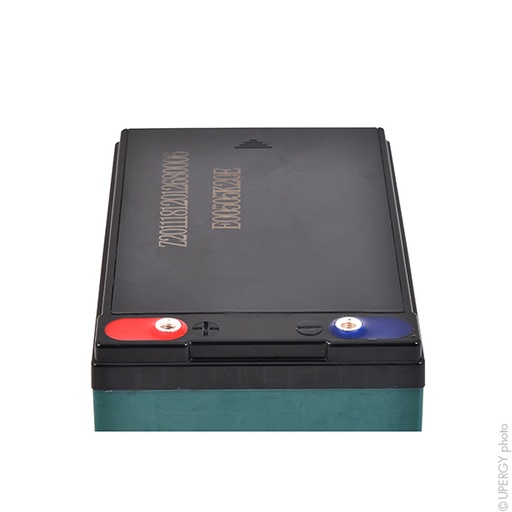 [ENIAMC9006] Batterie(s) Batterie lead crystal 6-CNFJ-12 12V 12Ah M5-F