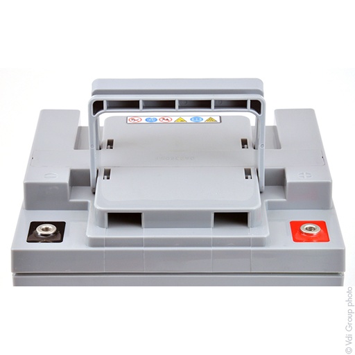 [ENIAMP0743] Batterie(s) Batterie plomb AGM M45-12SLD-M 12V 45Ah M6-F