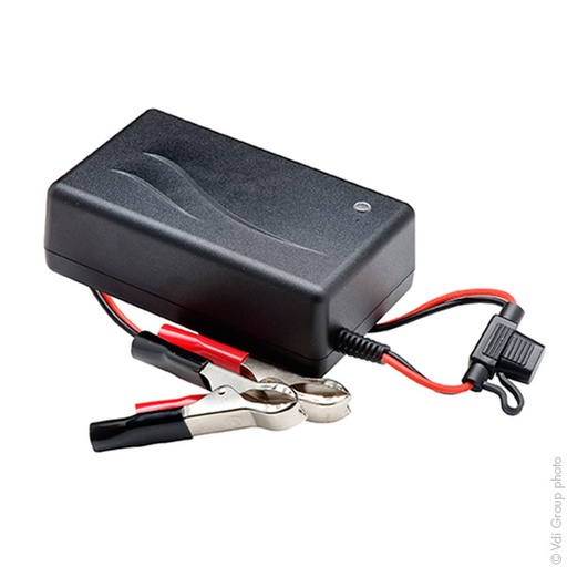 [ENICEP5192] Unité(s) Chargeur plomb 24V/3.5A 230V Mascot 2840 - pinces crocodiles (Intellige